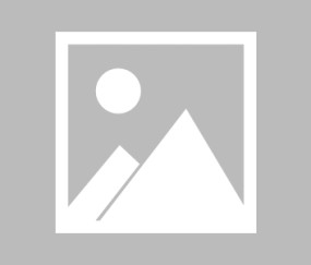 开云体育中心-风云突变，蓉城更衣室风波、门兴欧冠伤情与尼克斯战术微调的离谱之夜，三线爆雷，蓉城更衣室动荡、门兴欧冠折损与尼克斯战术迷局的意外之夜